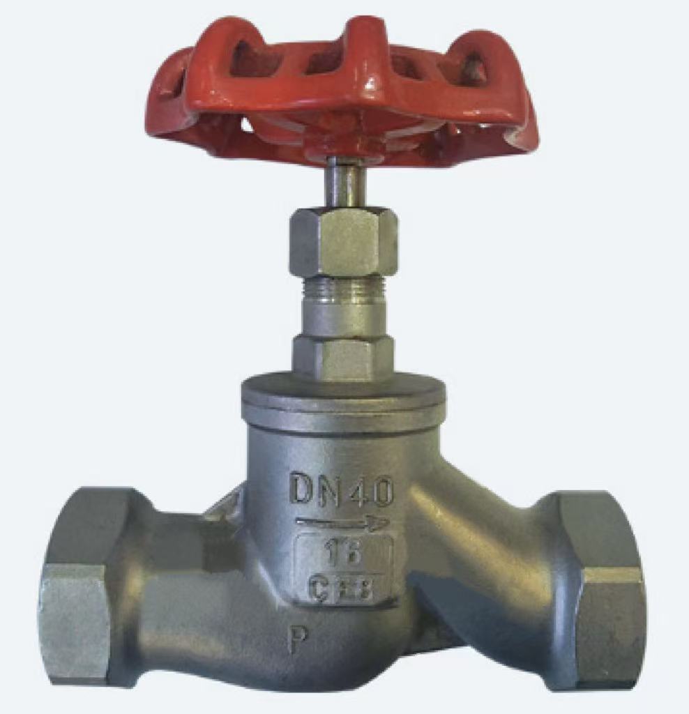 316 globe valve