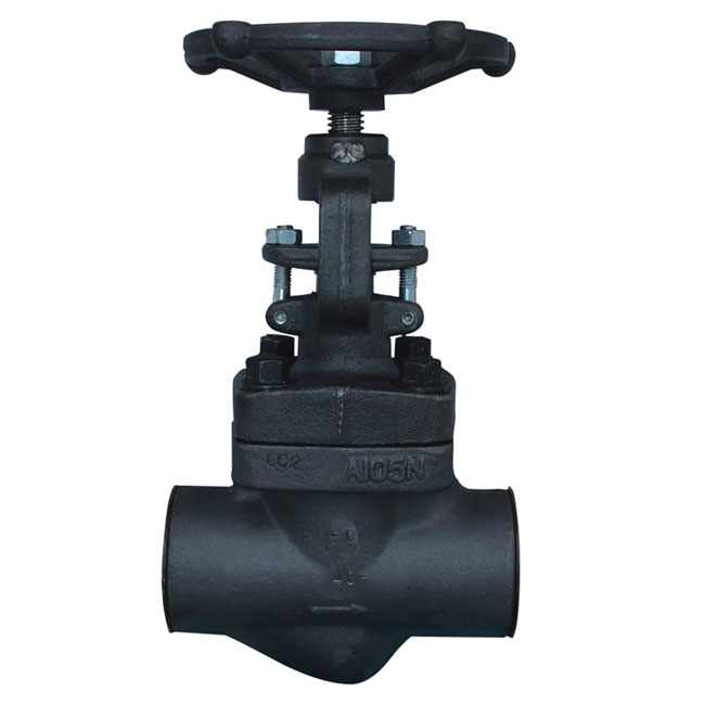 class 800 forged steel globe valve